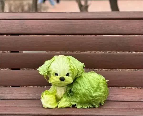 当泰迪在小小的沙滩上挖呀挖呀后，秒变双马尾老太太!耳朵甩飞了