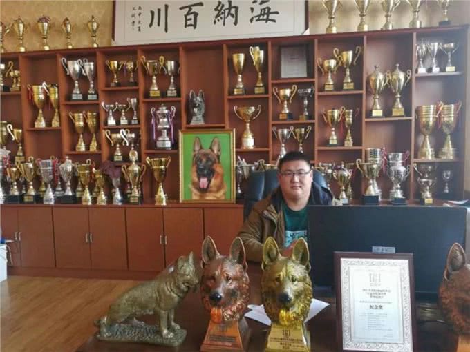 微谈:德国牧羊犬