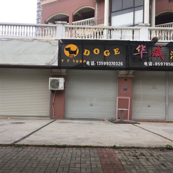 DOGE宠物店:福州市福清市