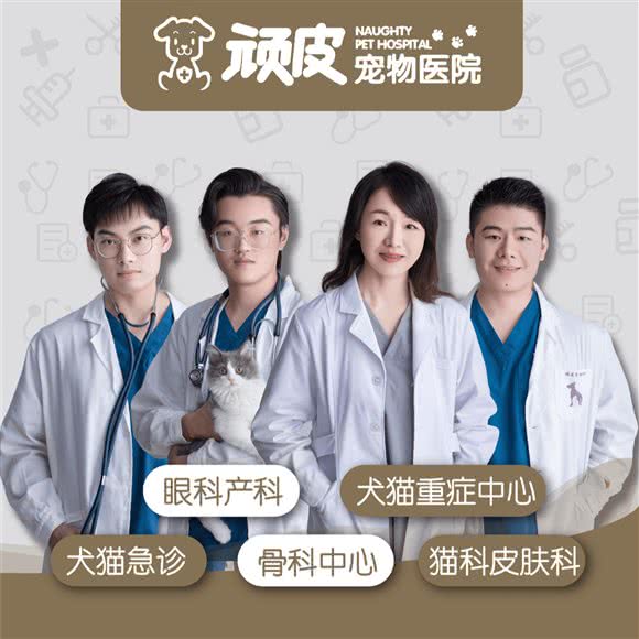 福清顽皮宠物医院(急重症中心):福州市福清市