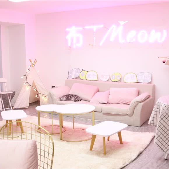 布丁Meow:厦门市思明区