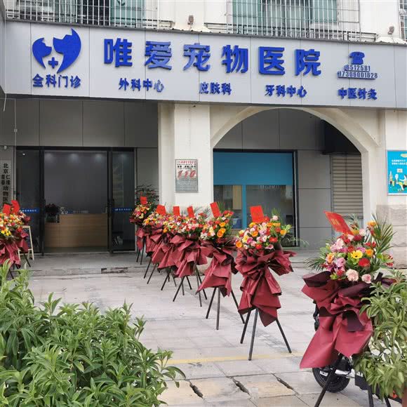 唯爱宠物医院:厦门市海沧区
