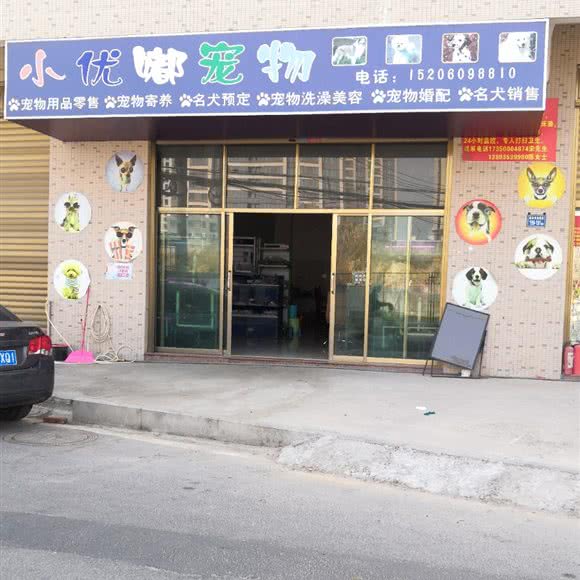 小优嘟宠物:厦门市同安区