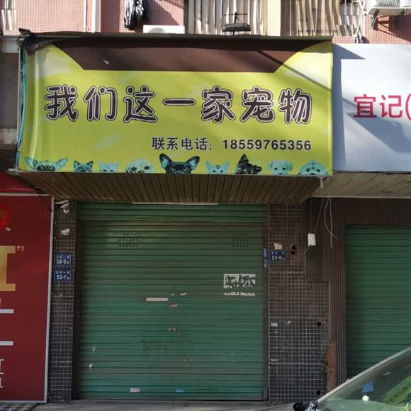 我们这一家宠物:厦门市同安区