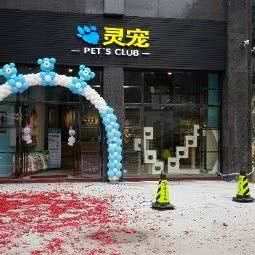 灵宠 pet