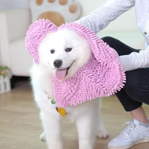 献爱心宠物医院:吕梁市离石区世纪广场附近