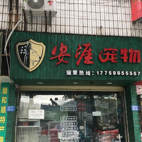 安涯宠物:三明市沙县区