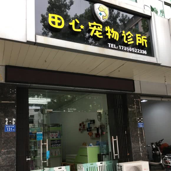 田心宠物诊所:三明市沙县区