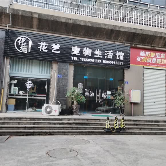 花猫花艺宠物生活馆:三明市永安市