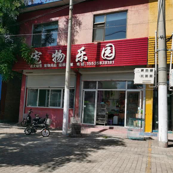 宠物乐园:吕梁市离石区市民广场附近