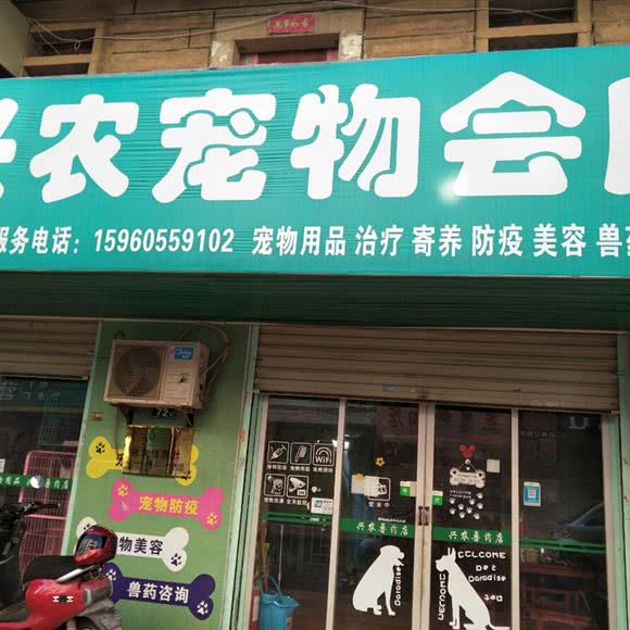 兴农宠物会所:泉州市惠安县