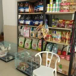 汤姆宠物诊所:泉州市惠安县