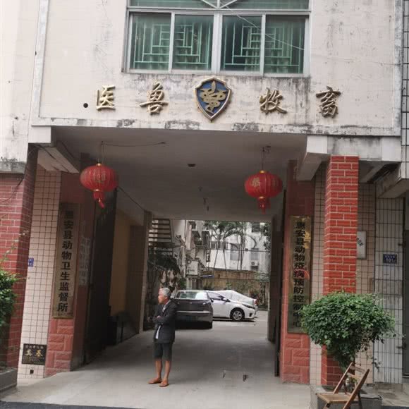 福建惠安县畜牧兽医站:泉州市惠安县
