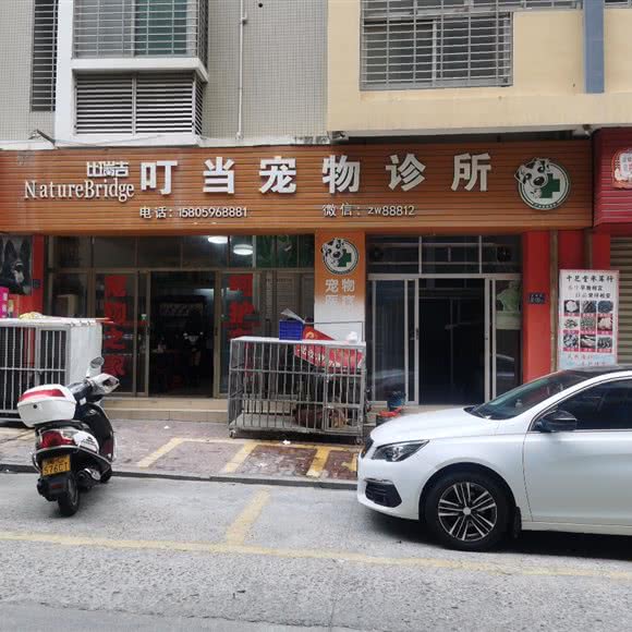 比瑞吉叮当宠物诊所:泉州市惠安县