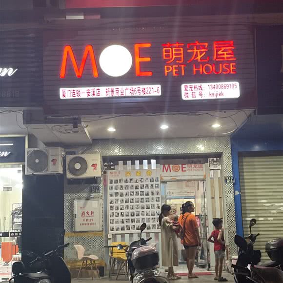 MOE萌宠屋(安溪北路):泉州市安溪县