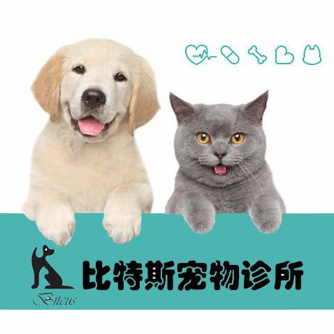 比特斯宠物诊所:泉州市安溪县