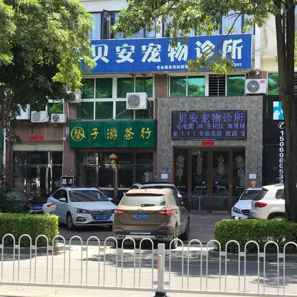 贝安宠物诊所:泉州市安溪县