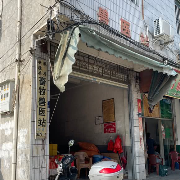 安溪县魁斗畜牧兽医站:泉州市安溪县