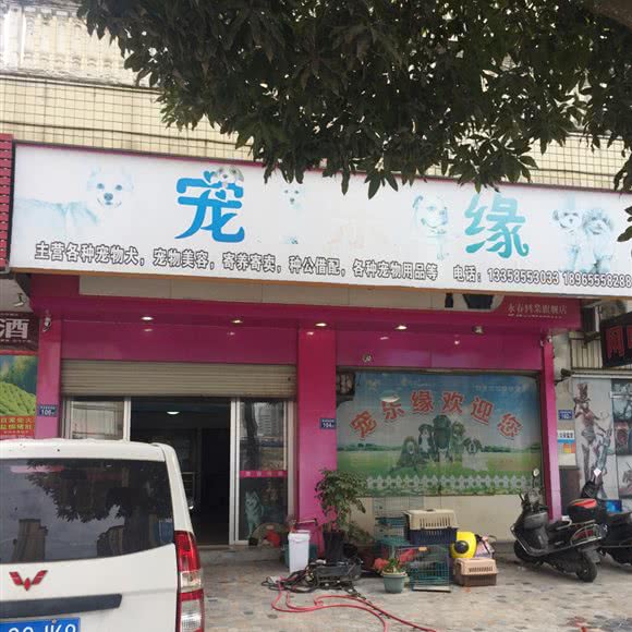 宠乐缘:泉州市永春县