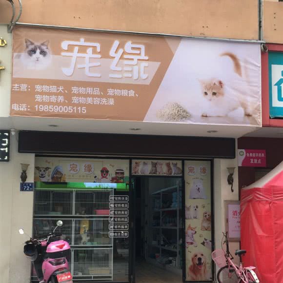 宠缘:泉州市永春县