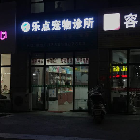 乐点宠物诊所:泉州市永春县
