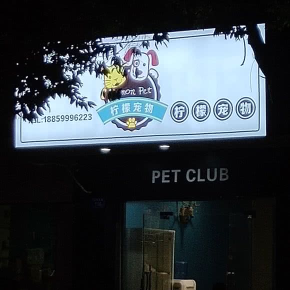 柠檬宠物:泉州市德化县