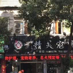 德化精灵宠物医院:泉州市德化县