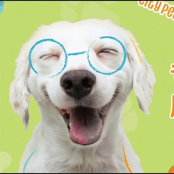 汪多乐宠物生活馆:呼和浩特市新城区摩尔城附近