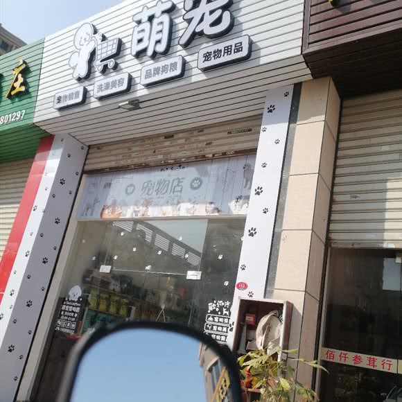 萌宠:泉州市晋江市