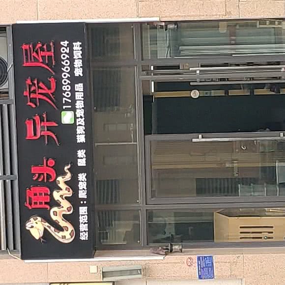角头异宠屋:泉州市晋江市