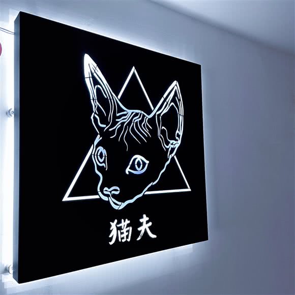 猫夫撸猫馆:呼和浩特市新城区摩尔城附近