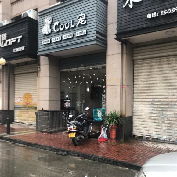 cool宠:泉州市晋江市