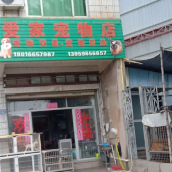 爱家宠物店:泉州市晋江市