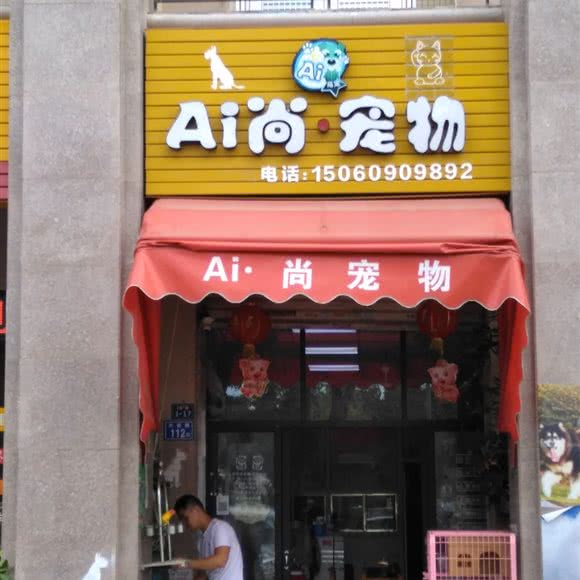 Ai尚·宠物:泉州市晋江市