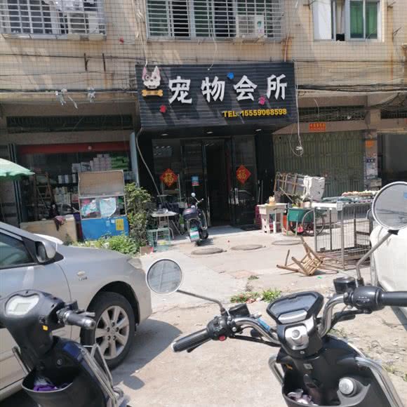 宠宝宠物会所:泉州市晋江市