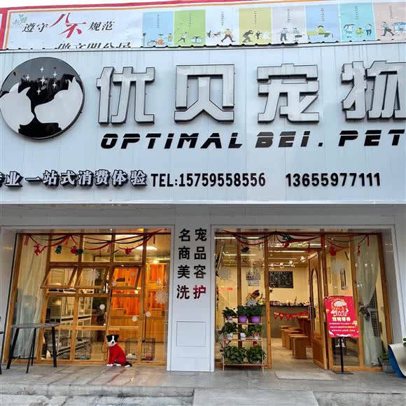 优贝宠物:泉州市晋江市