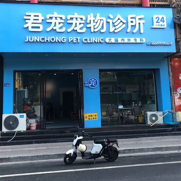 君宠宠物诊所:泉州市晋江市