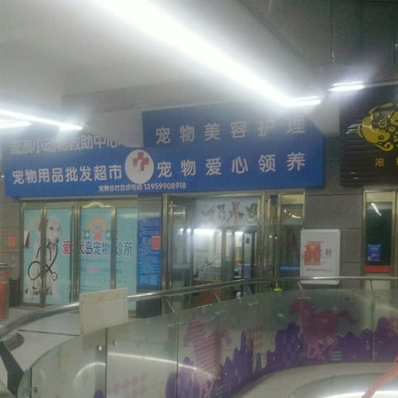 宠物美容护理:泉州市南安市
