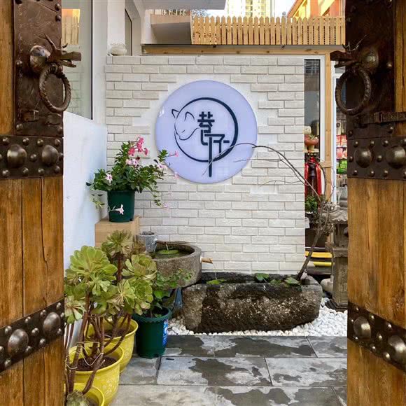 喵巷子纯种猫生活馆:呼和浩特市新城区摩尔城附近