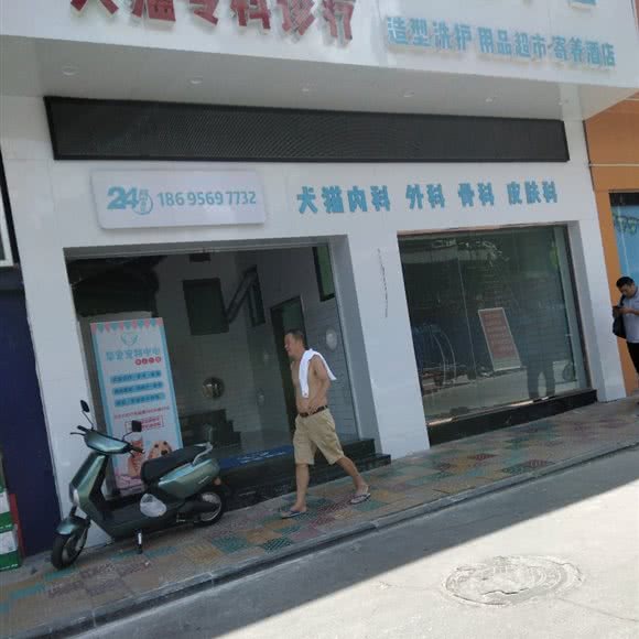 挚爱宠物中心:泉州市南安市