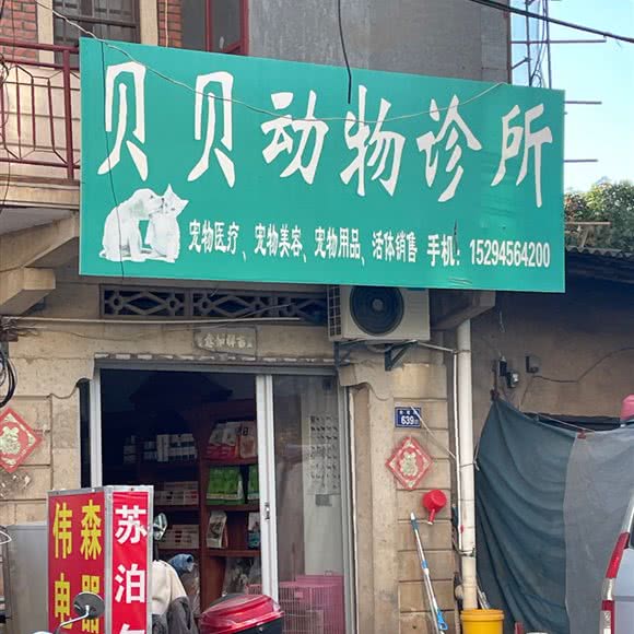 贝贝动物诊所:泉州市南安市
