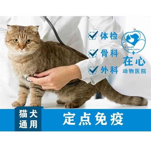 在心动物医院:呼和浩特市新城区摩尔城附近