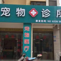顺康宠物诊所:泉州市南安市