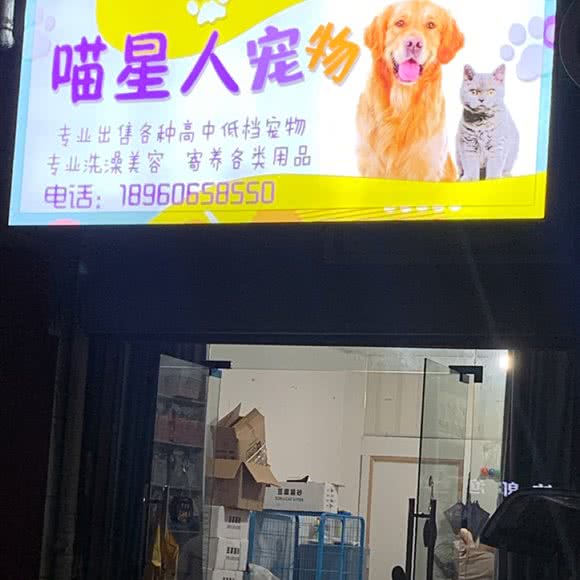 喵星人宠物:南平市建阳区