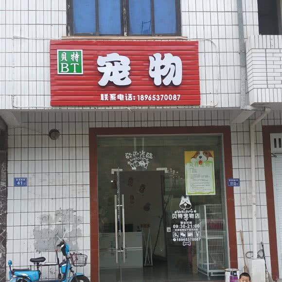 贝特宠物:南平市政和县