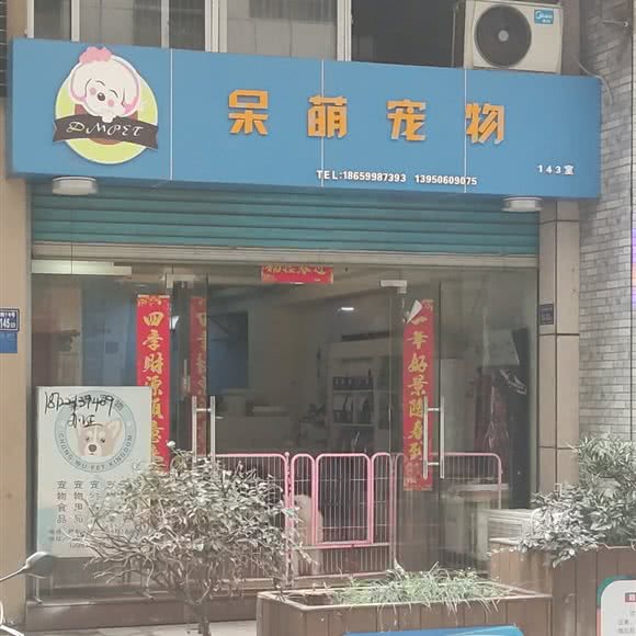 呆萌宠物:南平市政和县