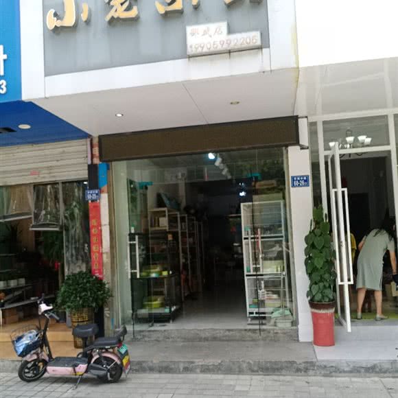 小宠乐园:南平市邵武市