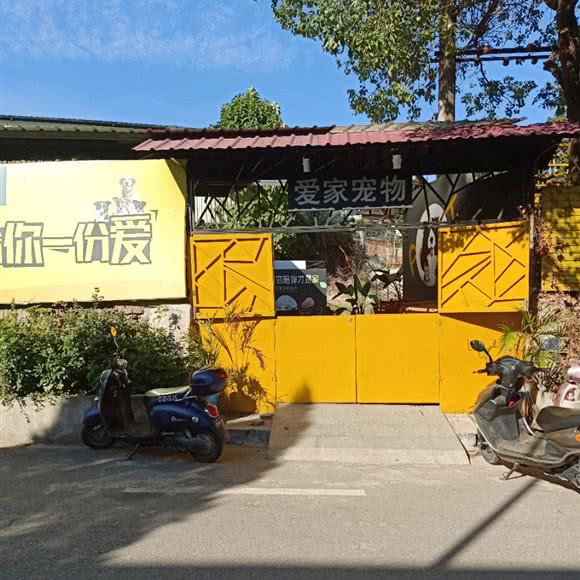 爱家宠物乐园:南平市武夷山市