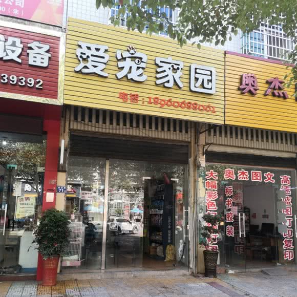 爱宠家园:南平市建瓯市