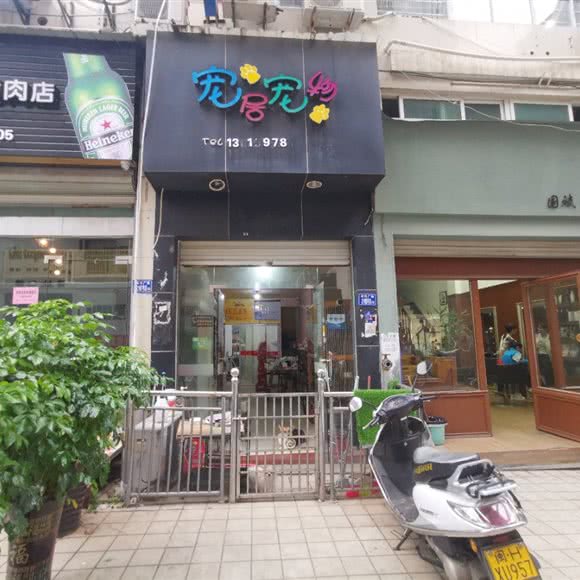 宠居宠物(建瓯店):南平市建瓯市